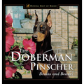 The Doberman Pinscher: Brains and Beauty - Paperback
