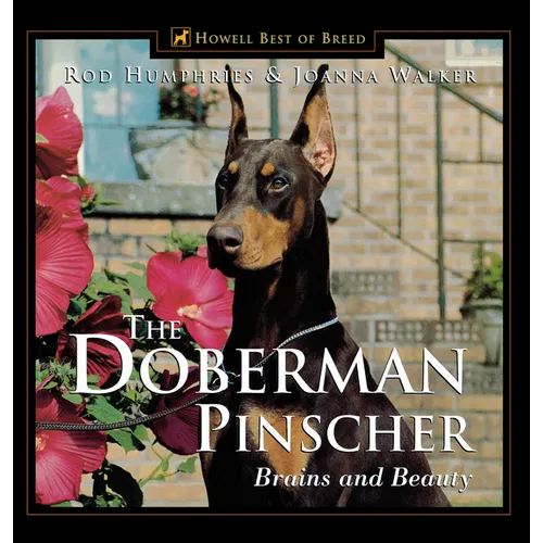 The Doberman Pinscher: Brains and Beauty - Paperback