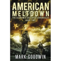 American Meltdown: Book Two of The Economic Collapse Chronicles