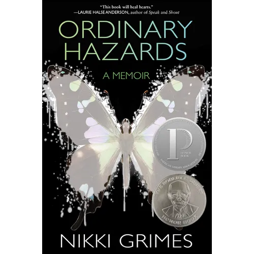 Ordinary Hazards: A Memoir - Hardcover