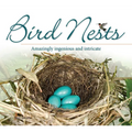 Bird Nests: Amazingly Ingenious and Intricate - Paperback