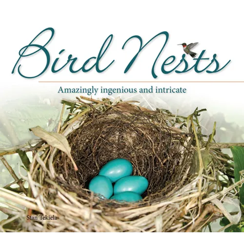 Bird Nests: Amazingly Ingenious and Intricate - Paperback