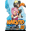 Naruto, Vol. 30: Puppet Masters - Paperback