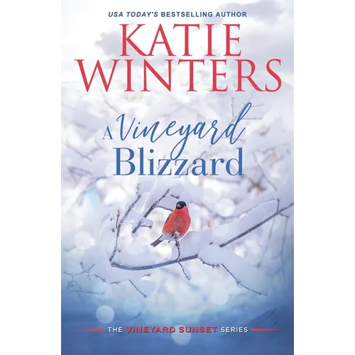 A Vineyard Blizzard - Paperback