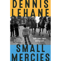 Small Mercies - Paperback