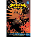Batman and Robin by Peter J. Tomasi and Patrick Gleason Book Two - Paperback