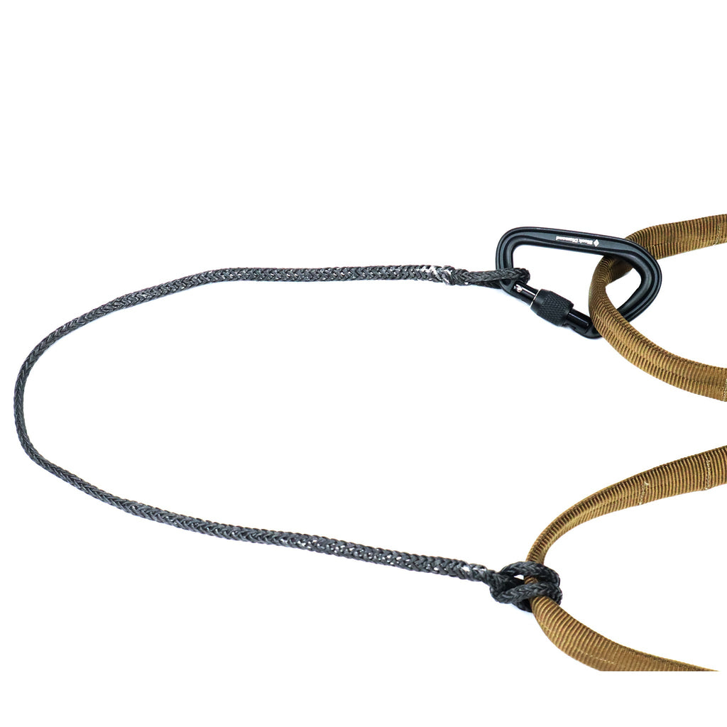 Quick Draw Backup/Rappel Bridge
