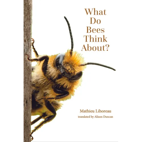 What Do Bees Think About? - Paperback