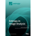 Entropy in Image Analysis - Paperback