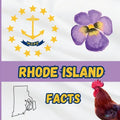Rhode Island Facts: Interesting Facts About Rhode Island
