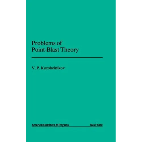 Problems of Point Blast Theory - Hardcover