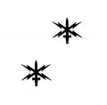 U.S. Army Cyber Warfare Black Branch