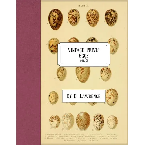 Vintage Prints: Eggs: Vol. 2 - Paperback