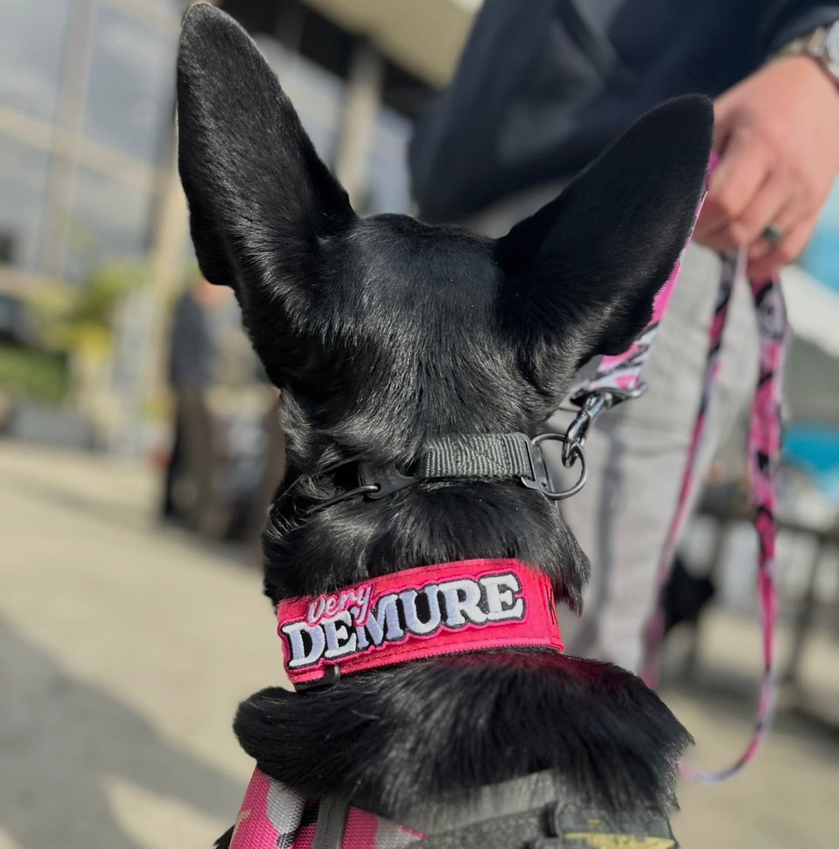 Very Demure Morale Patch