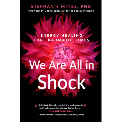 We Are All in Shock: Energy Healing for Traumatic Times - Paperback