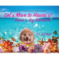 Let's Move to Hawai'i!: Bruno's Big Adventure: Bruno's Big Adventure