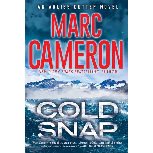 Cold Snap: An Action Packed Novel of Suspense - Paperback