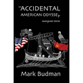 An Accidental American Odyssey - Paperback
