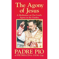 The Agony of Jesus - Paperback