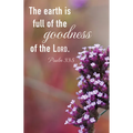 General Worship Bulletin: Earth Is Full (Package of 100): Psalm 33:5 (Kjv) - Paperback