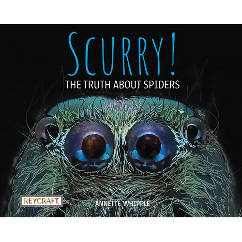 Scurry! the Truth about Spiders - Hardcover