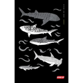 Diving Log Book: Sharks - Paperback
