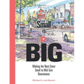 Small Is Big: Making the Next Great Small to Mid-Size Downtowns - Hardcover