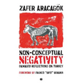 Non-Conceptual Negativity: Damaged Reflections on Turkey - Paperback