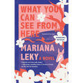What You Can See from Here - Paperback
