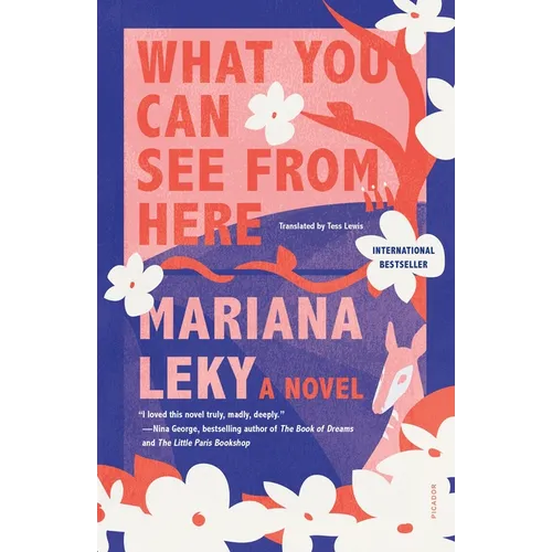 What You Can See from Here - Paperback