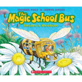 The Magic School Bus Inside a Beehive - Paperback