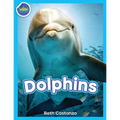 Dolphins! - Paperback