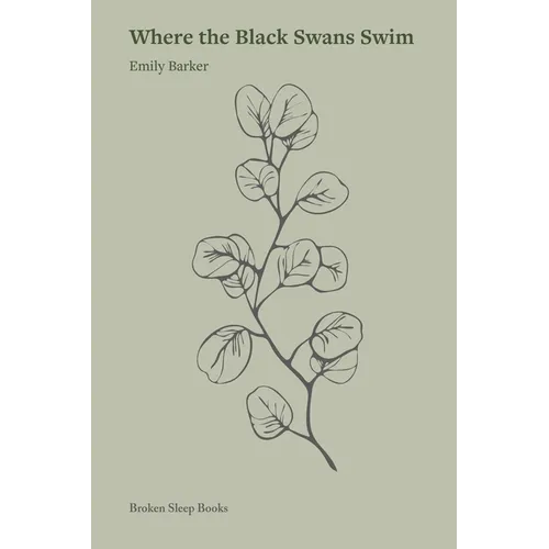 Where the Black Swans Swim - Paperback