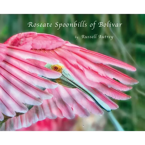 Roseate Spoonbills of Bolivar - Hardcover