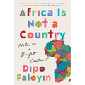 Africa Is Not a Country: Notes on a Bright Continent - Paperback