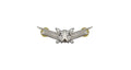 US Air Force Space Command Basic STA-BRITE® Badge