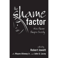 The Shame Factor - Hardcover