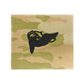 U.S. Army Pathfinder OCP Sew-on Badge