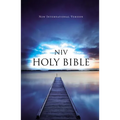 Value Outreach Bible-NIV - Paperback