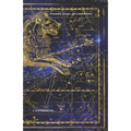 Password Keeper: Leo Constellation - Paperback