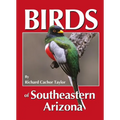 Birds of Southeastern Arizona - Paperback