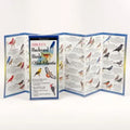 Sibley's Back. Birds of Mid-Atlantic