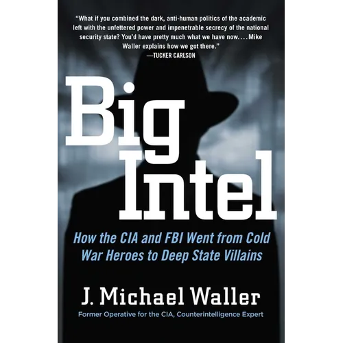 Big Intel: How the CIA and FBI Went from Cold War Heroes to Deep State Villains - Hardcover