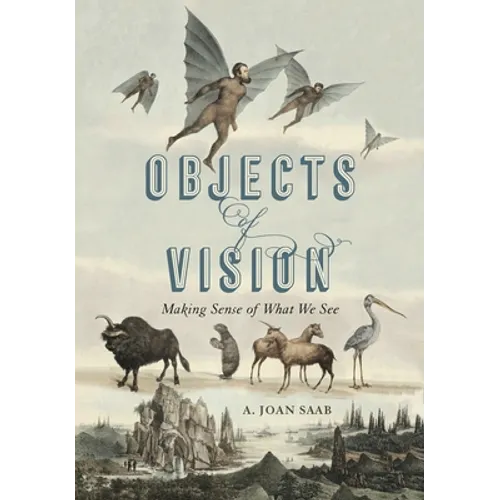 Objects of Vision: Making Sense of What We See - Hardcover