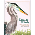 Drawn to Birds: A Naturalist's Sketchbook - Hardcover