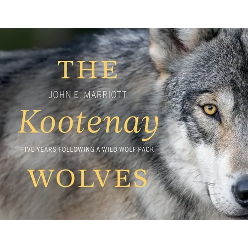 The Kootenay Wolves: Five Years Following a Wild Wolf Pack - Hardcover