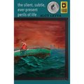 The Silent, Subtle, Ever-Present Perils of Life - Paperback