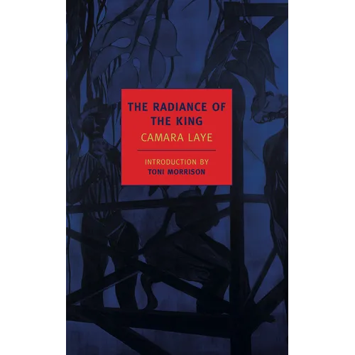 The Radiance of the King - Paperback