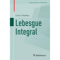 Lebesgue Integral - Paperback