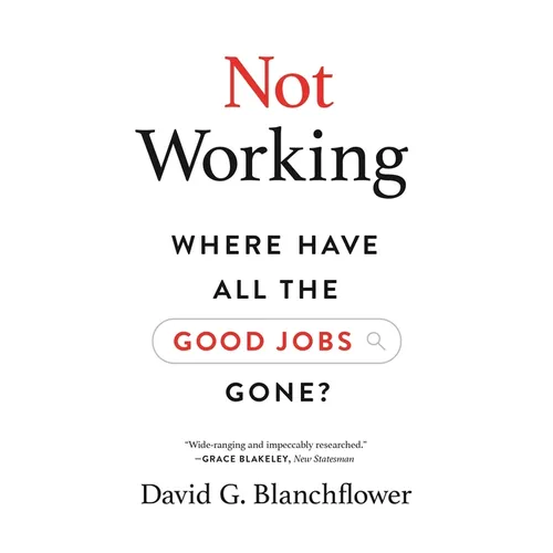 Not Working: Where Have All the Good Jobs Gone? - Paperback